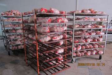 عملكرد شبكه دامپزشكي شهرستان تبريز به روايت تصوير