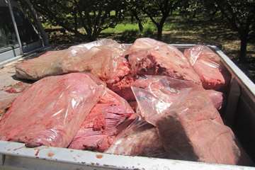 عملكرد شبكه دامپزشكي شهرستان بناب به روايت تصوير