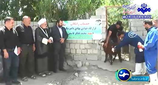 خدمات رایگان واکسیناسیون دامی در هشترود