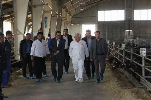 بازدید معاون وزیر و رئیس سازمان دامپزشکی کشور از بخش های مختلف مجموعه کشت و صنعت آذربایجان خاوری شهرستان شبستر