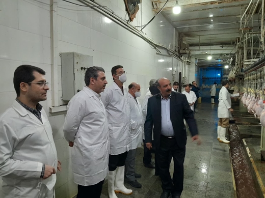 بازدید مدیر کل دامپزشکی استان از کشتارگاه صنعتی طیور شهرستان ویژه میانه