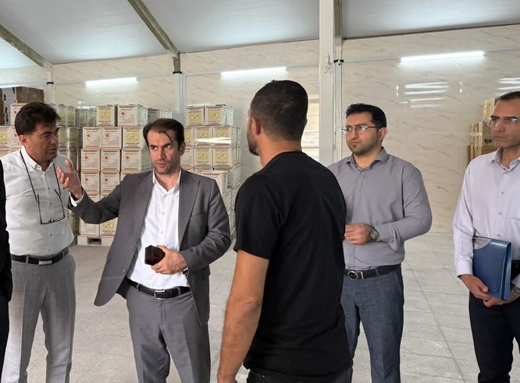 بازدید مدیرکل دامپزشکی استان و هیات همراه از کارخانه بسته بندی تخم مرغ علی نژاد (پادمیرا) 