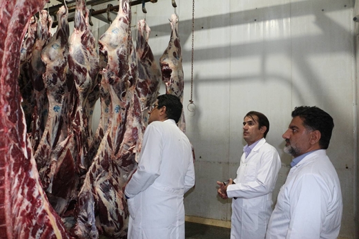 بازدید مدیر کل دامپزشکی استان و هیات همراه کشتارگاه صنعتی دام شهرستان ویژه مراغه