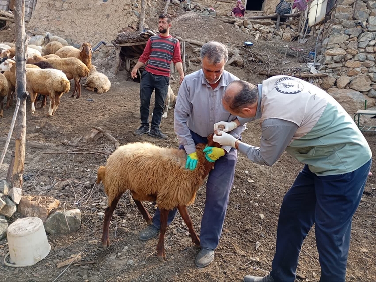 حضور قرارگاه جهادی نهادی دامپزشکی استان در دورترین روستای شهرستان ورزقان