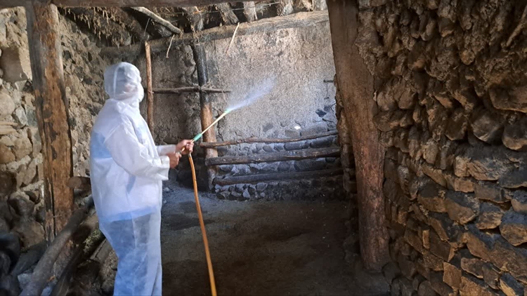 اجرای عملیات سم پاشی دام های سبک و سنگین بر علیه انگل های خارجی در روستای یوزبند شهرستان کلیبر