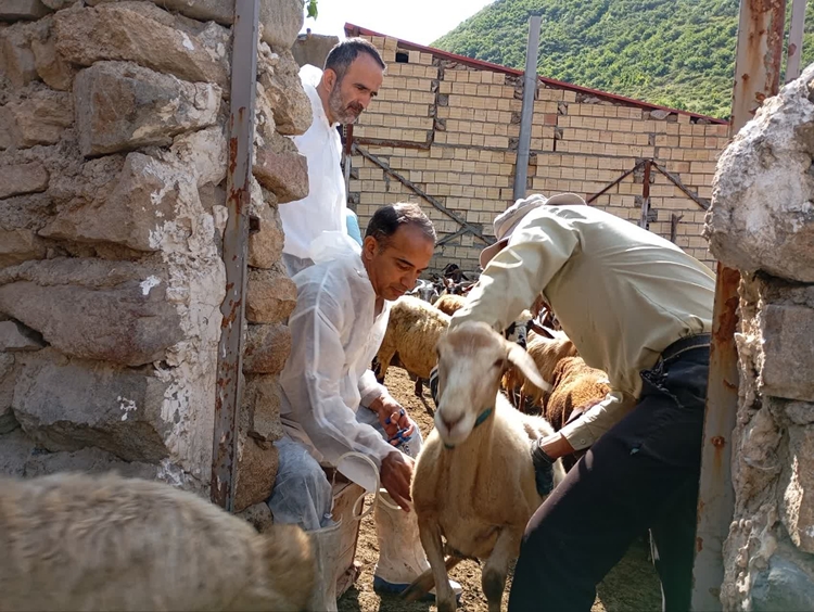 برگزاری اردوی جهادی دو روزه توسط قرارگاه جهادی نهادی دامپزشکی استان آذربایجان شرقی در شهرستان کلیبر