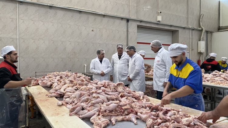 سفر یک‌روزه مدیرکل دامپزشکی آذربایجان شرقی به شهرستان شبستر