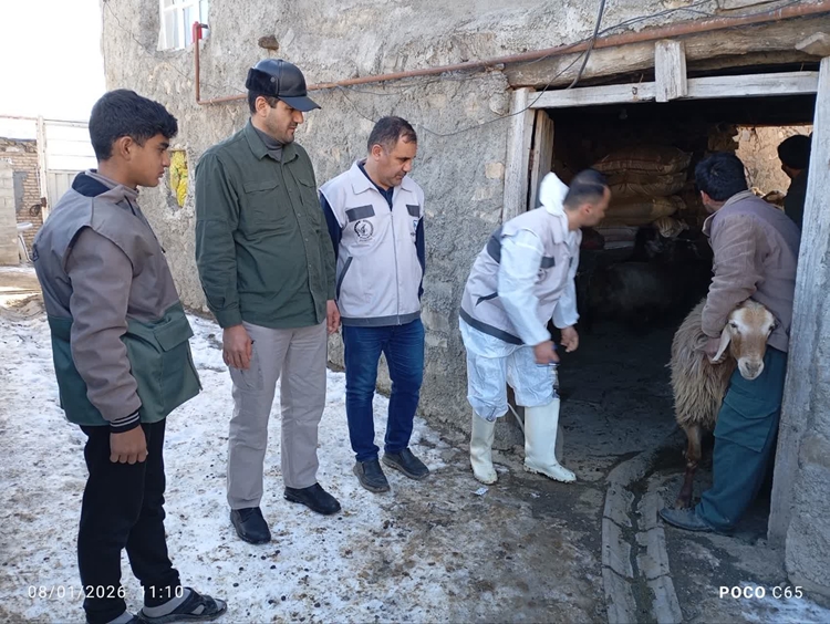 برگزاری اردوی جهادی دو روزه اداره کل دامپزشکی استان آذربایجان شرقی در روستاهای شهرستان هوراند