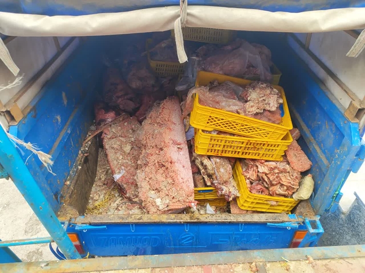 کشف، ضبط و معدوم‌سازی بیش از 1100 کیلوگرم گوشت قطعه بندی شده و چرخ کرده غیرقابل مصرف انسانی در شهرستان سراب